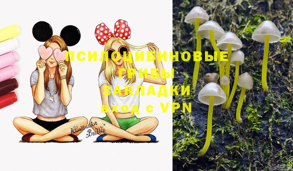 круглые Алексин