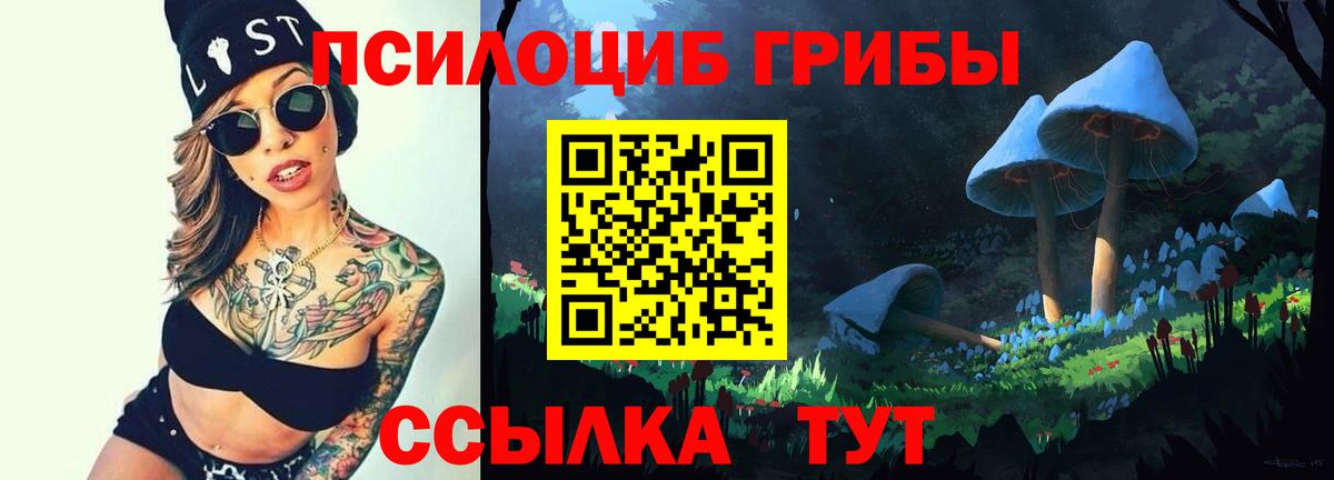 Владивосток  Псилоцибиновые грибы MAGIC MUSHROOMS  Вход с VPN 